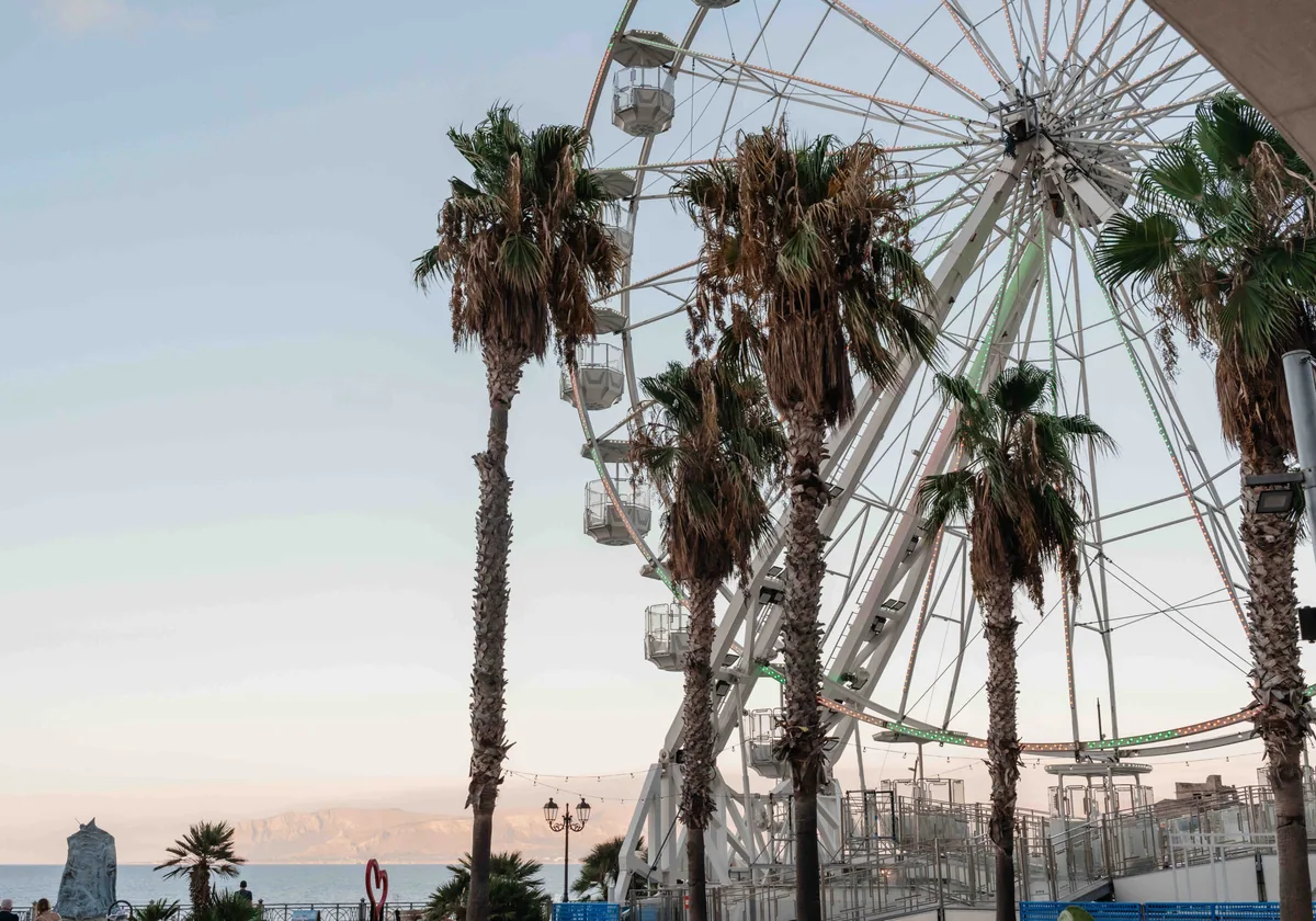Palm trees and the seafront ferris wheel at dusk