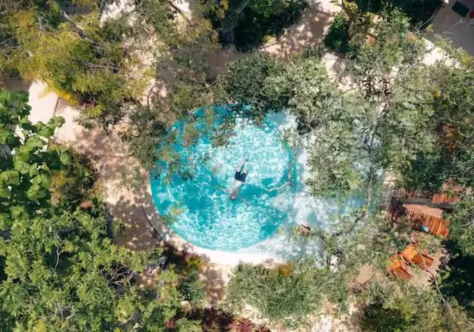 Looking straight down on a round pool hidden in the jungle canopy