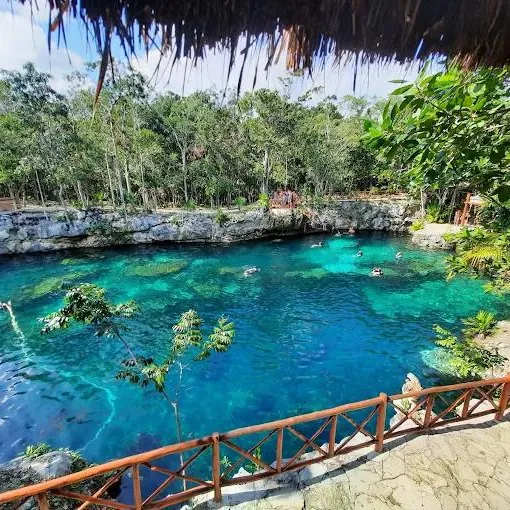 Swimmers in the clear blue water of a jungle cenote