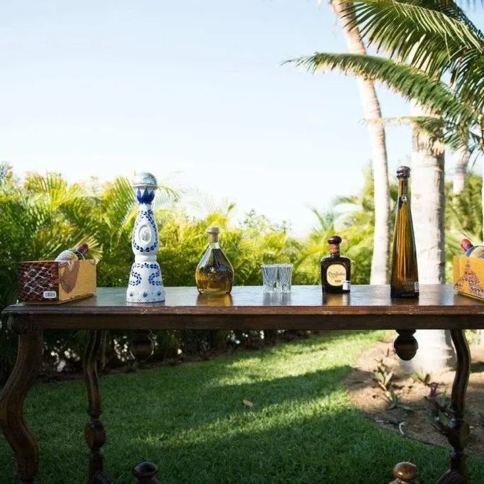 A tequila tasting set out on a table on the lawn under the palms