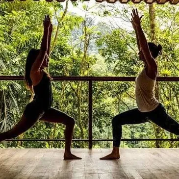 Two women in warrior pose on an open-air yoga deck above the jungle